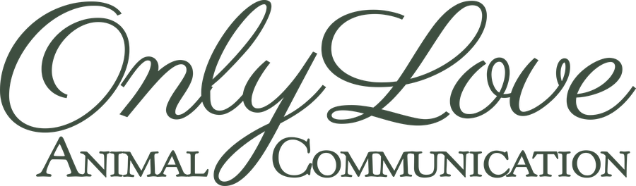 Only Love Animal Communication
